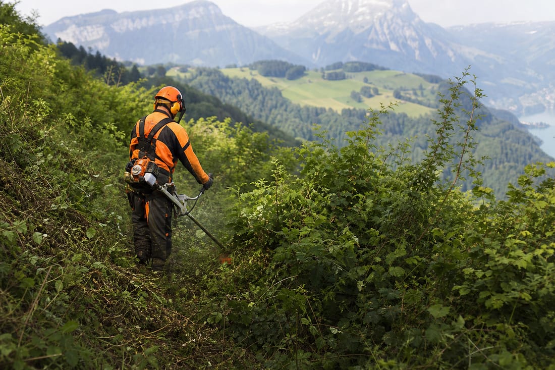 Exemple : débroussaillage d'un terrain envahi par la végétation