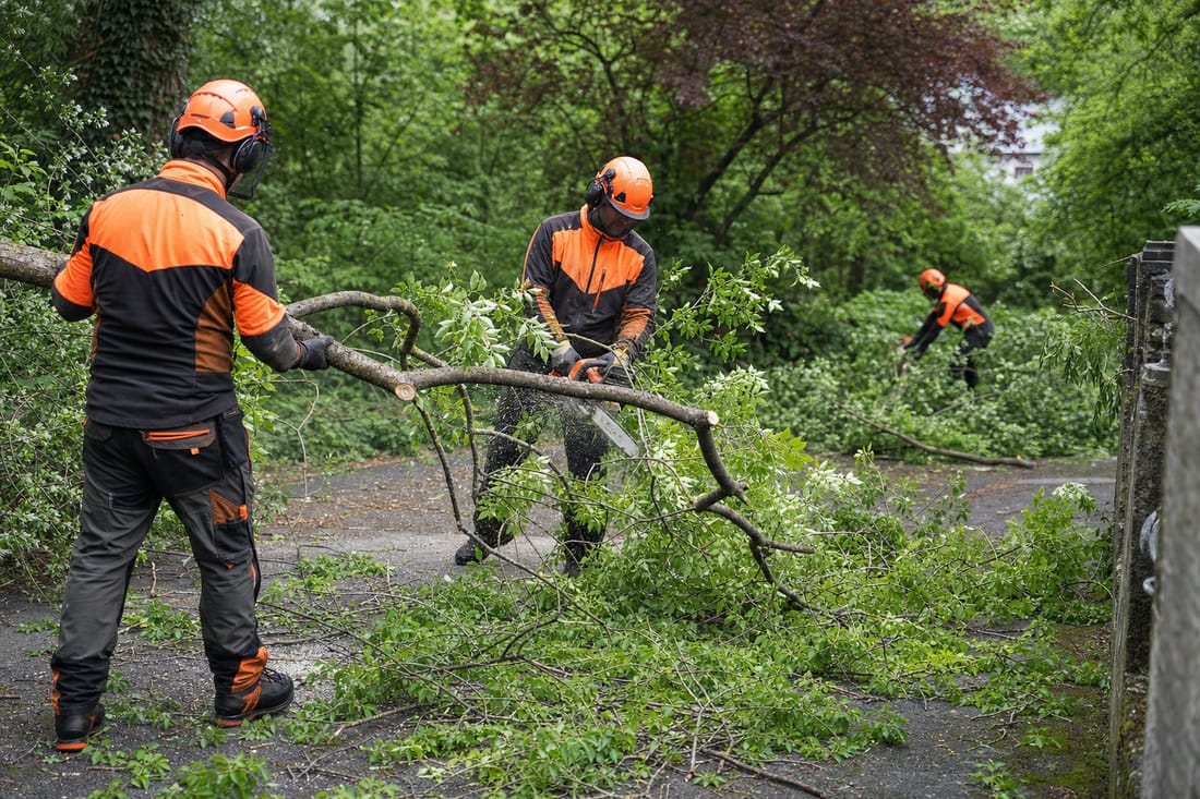 Exemple : intervention après tempête sur un arbre tombé